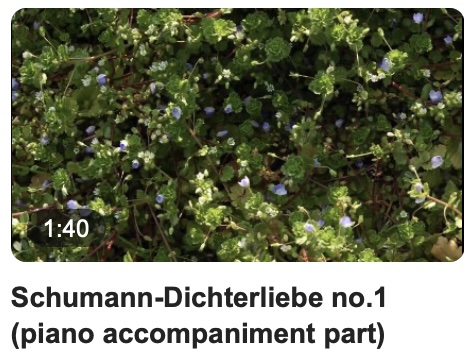 Schumann-Dichterliebe no.1.jpg